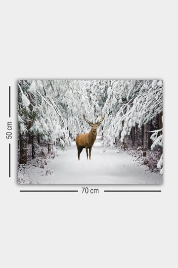 Dekorativ Canvasbilde 50x70 cm - Flerfarget - Interiør - Maleri & posters - Lerretsbilder