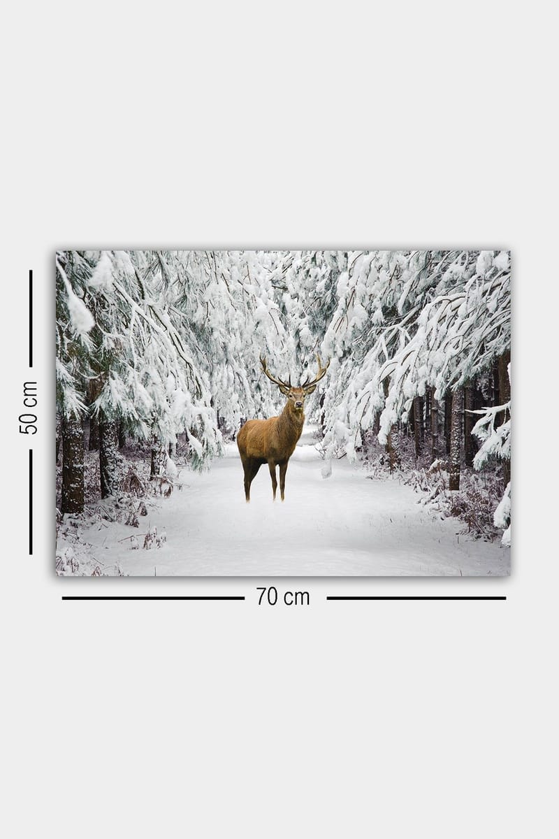 Dekorativ Canvasbilde 50x70 cm - Flerfarget - Interiør - Maleri & posters - Lerretsbilder