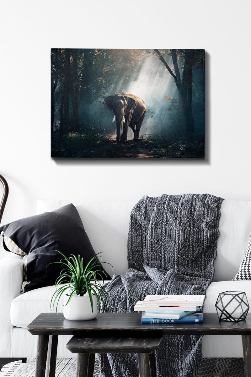 Dekorativ Canvasbilde 50x70 cm - Flerfarget - Interiør - Maleri & posters - Lerretsbilder