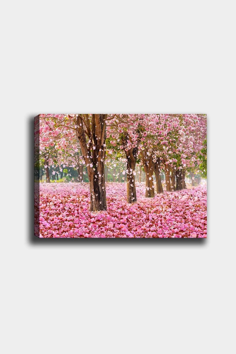 Dekorativ Canvasbilde 50x70 cm - Flerfarget - Interiør - Maleri & posters - Lerretsbilder