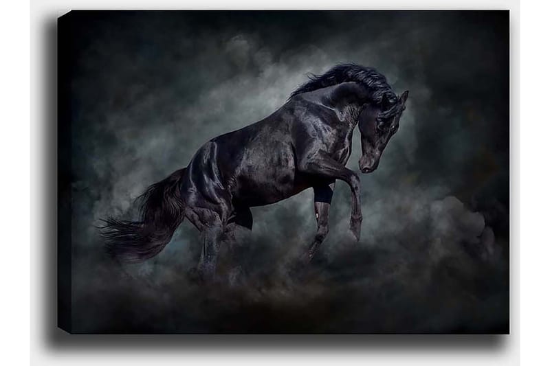 Dekorativ Canvasbilde 50x70 cm - Flerfarget - Interiør - Maleri & posters - Lerretsbilder