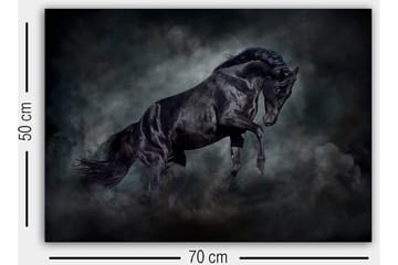 Dekorativ Canvasbilde 50x70 cm - Flerfarget - Interiør - Maleri & posters - Lerretsbilder