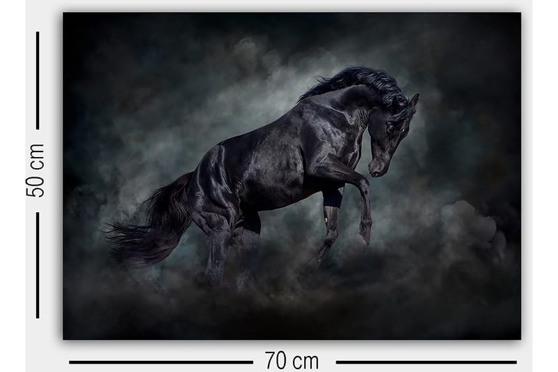 Dekorativ Canvasbilde 50x70 cm - Flerfarget - Interiør - Maleri & posters - Lerretsbilder