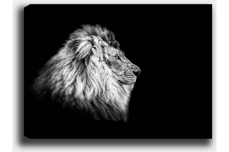 Dekorativ Canvasbilde 50x70 cm - Flerfarget - Interiør - Maleri & posters - Lerretsbilder