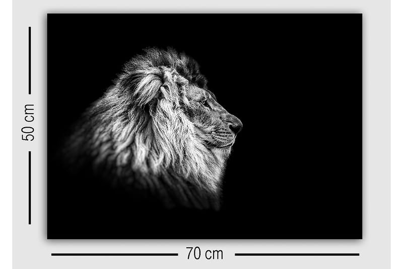 Dekorativ Canvasbilde 50x70 cm - Flerfarget - Interiør - Maleri & posters - Lerretsbilder
