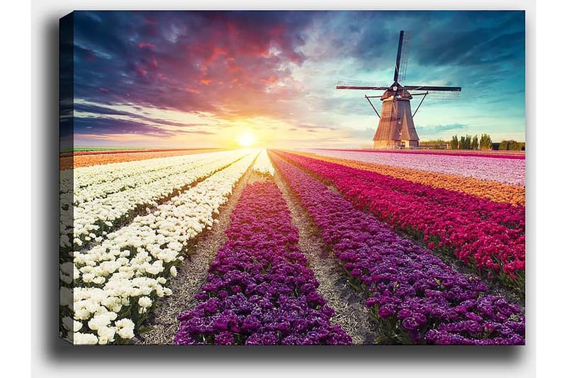 Dekorativ Canvasbilde 50x70 cm - Flerfarget - Interiør - Maleri & posters - Lerretsbilder