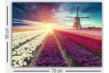 Dekorativ Canvasbilde 50x70 cm - Flerfarget - Interiør - Maleri & posters - Lerretsbilder