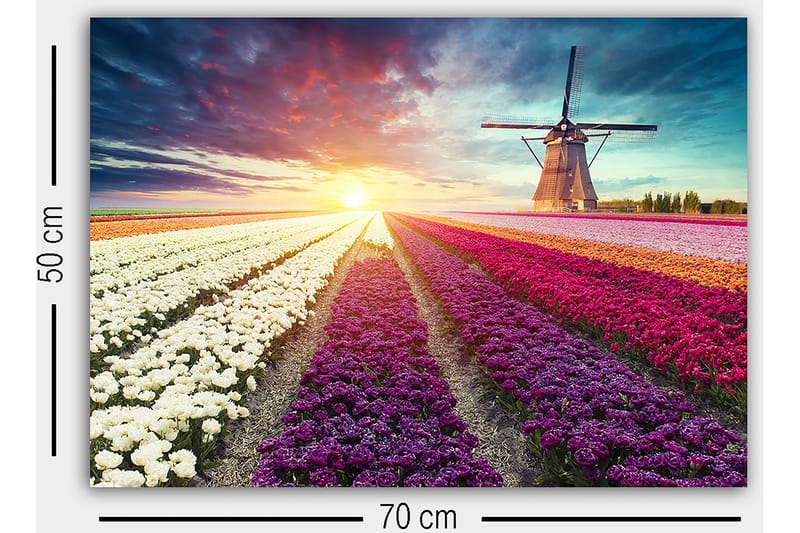 Dekorativ Canvasbilde 50x70 cm - Flerfarget - Interiør - Maleri & posters - Lerretsbilder