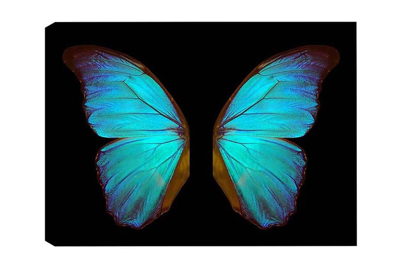 Dekorativ Canvasbilde 50x70 cm - Flerfarget - Interiør - Maleri & posters - Lerretsbilder