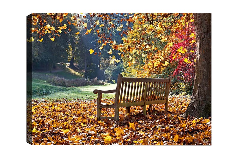 Dekorativ Canvasbilde 50x70 cm - Flerfarget - Interiør - Maleri & posters - Lerretsbilder