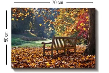 Dekorativ Canvasbilde 50x70 cm - Flerfarget - Interiør - Maleri & posters - Lerretsbilder