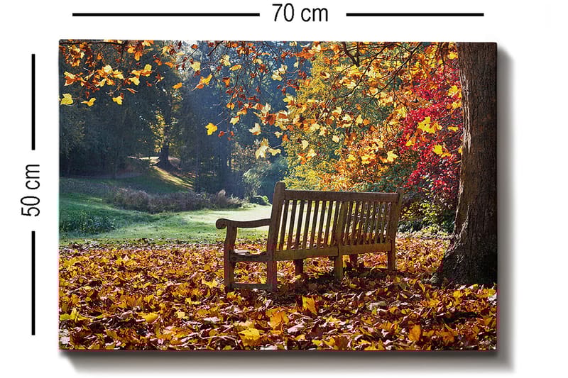 Dekorativ Canvasbilde 50x70 cm - Flerfarget - Interiør - Maleri & posters - Lerretsbilder