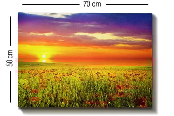 Dekorativ Canvasbilde 50x70 cm - Flerfarget - Interiør - Maleri & posters - Lerretsbilder