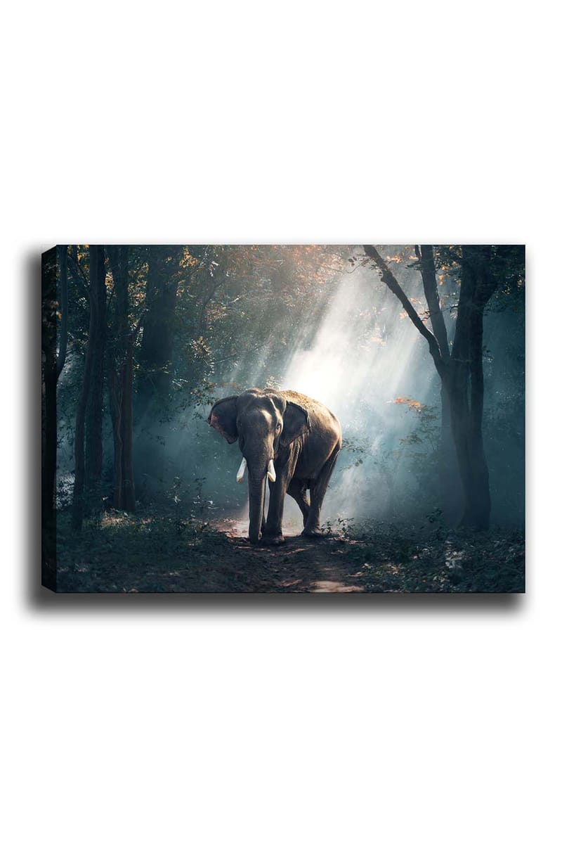 Dekorativ Canvasbilde 50x70 cm - Flerfarget - Interiør - Maleri & posters - Lerretsbilder