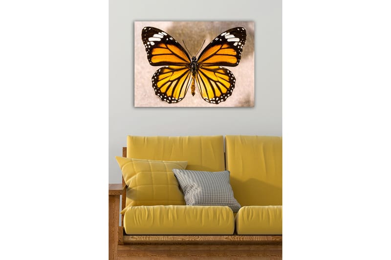 Dekorativ Canvasbilde 50x70 cm - Flerfarget - Interiør - Maleri & posters - Lerretsbilder