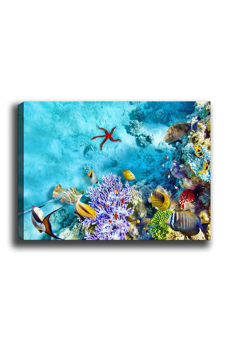 Dekorativ Canvasbilde 50x70 cm - Flerfarget - Interiør - Maleri & posters - Lerretsbilder