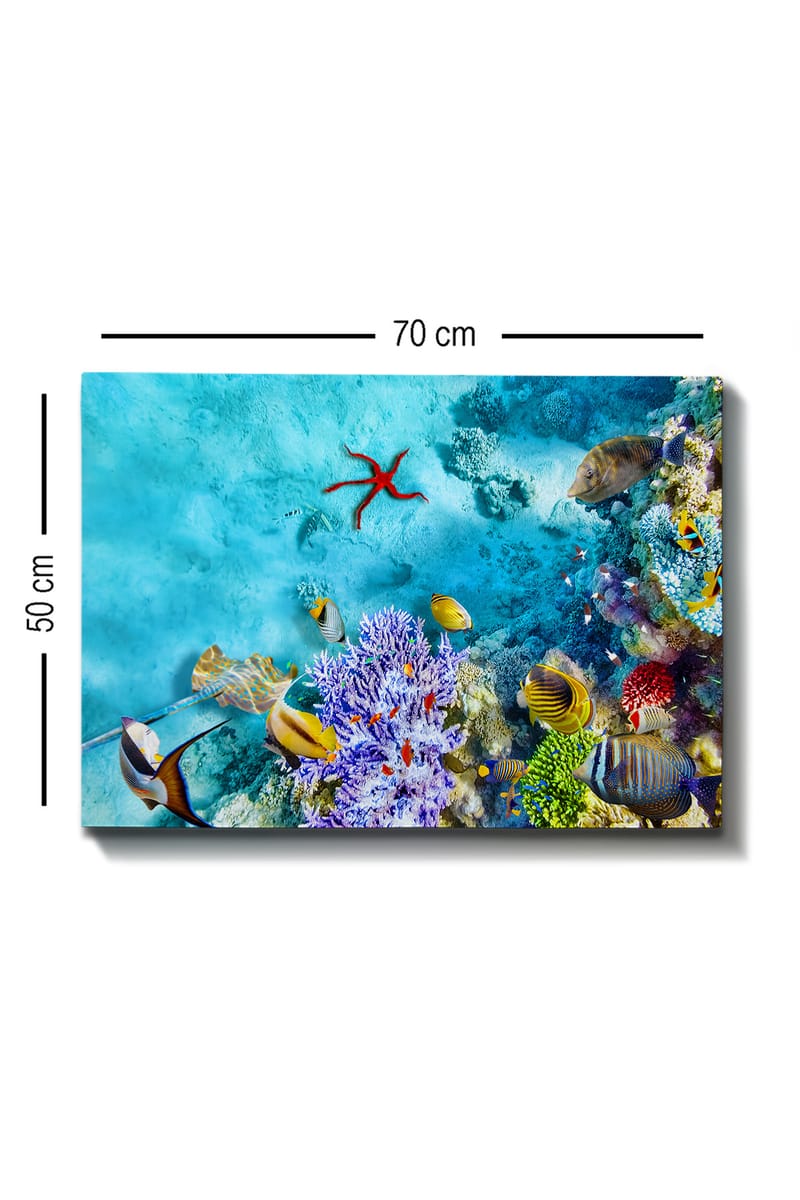 Dekorativ Canvasbilde 50x70 cm - Flerfarget - Interiør - Maleri & posters - Lerretsbilder