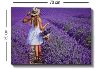Dekorativ Canvasbilde 50x70 cm - Flerfarget - Interiør - Maleri & posters - Lerretsbilder