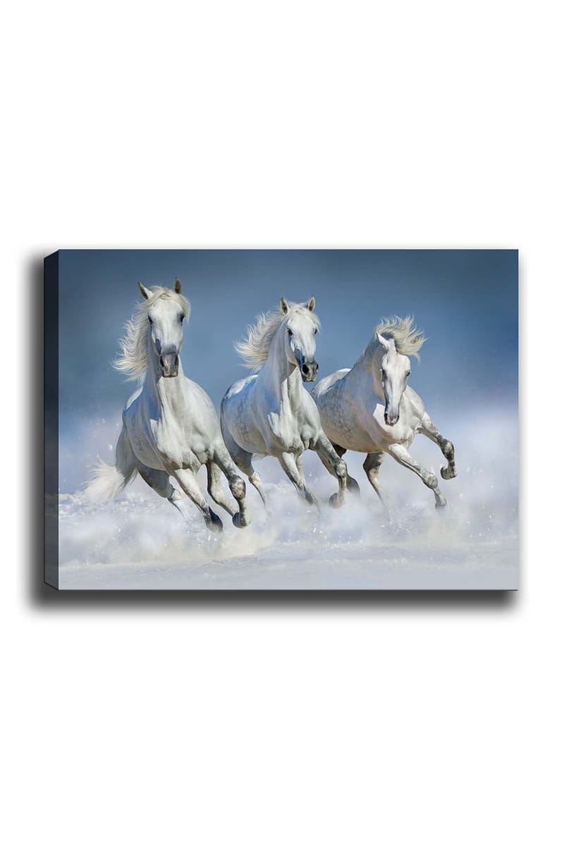 Dekorativ Canvasbilde 50x70 cm - Flerfarget - Interiør - Maleri & posters - Lerretsbilder