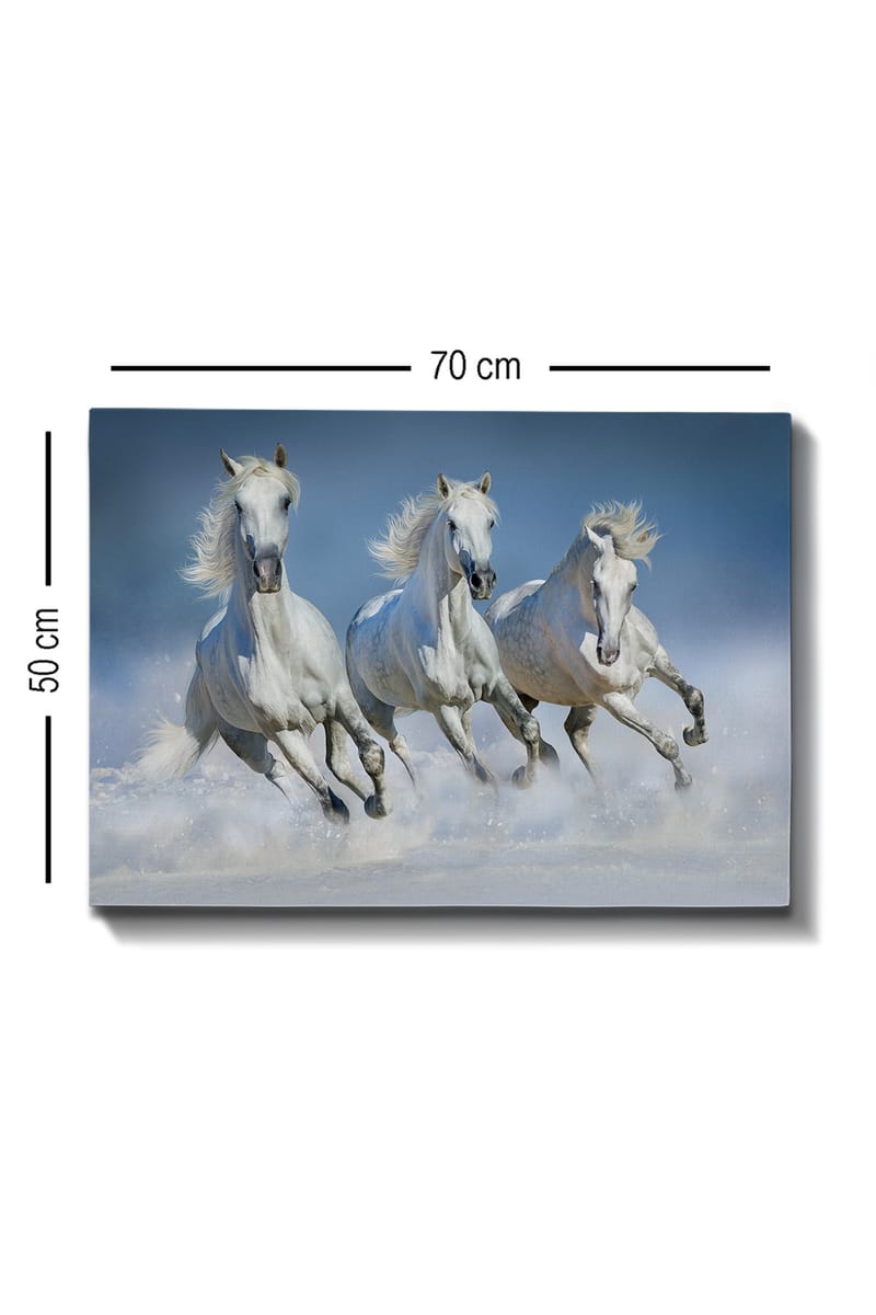 Dekorativ Canvasbilde 50x70 cm - Flerfarget - Interiør - Maleri & posters - Lerretsbilder