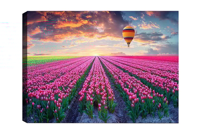 Dekorativ Canvasbilde 50x70 cm - Flerfarget - Interiør - Maleri & posters - Lerretsbilder
