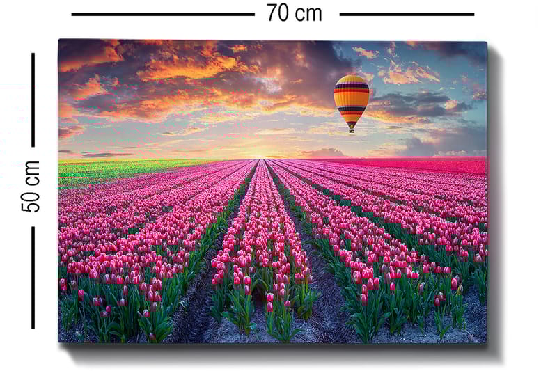 Dekorativ Canvasbilde 50x70 cm - Flerfarget - Interiør - Maleri & posters - Lerretsbilder