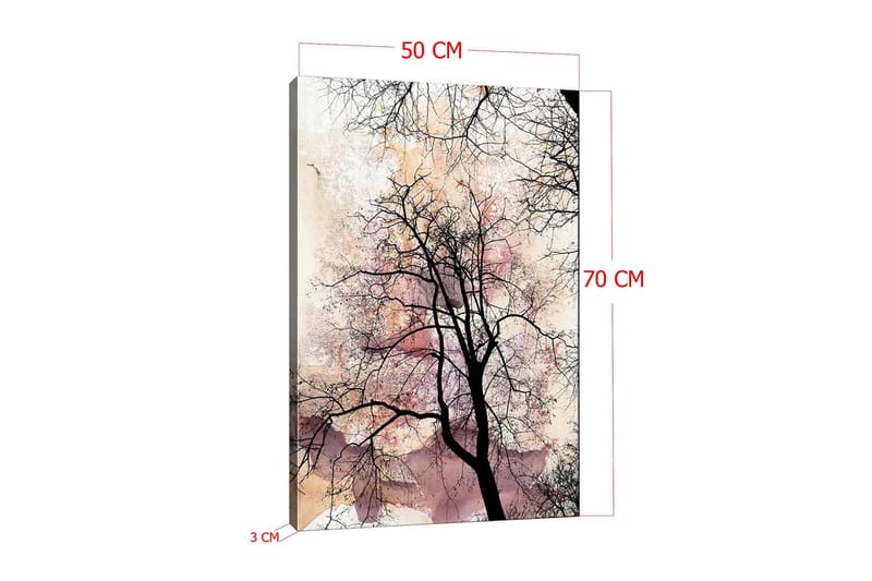Dekorativ Canvasbilde 50x70 cm - Flerfarget - Interiør - Maleri & posters - Lerretsbilder