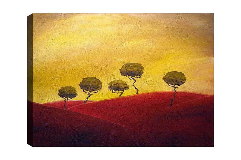 Dekorativ Canvasbilde 50x70 cm - Flerfarget - Interiør - Maleri & posters - Lerretsbilder