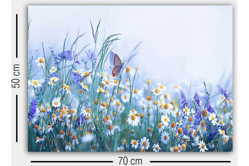Dekorativ Canvasbilde 50x70 cm - Flerfarget - Interiør - Maleri & posters - Lerretsbilder