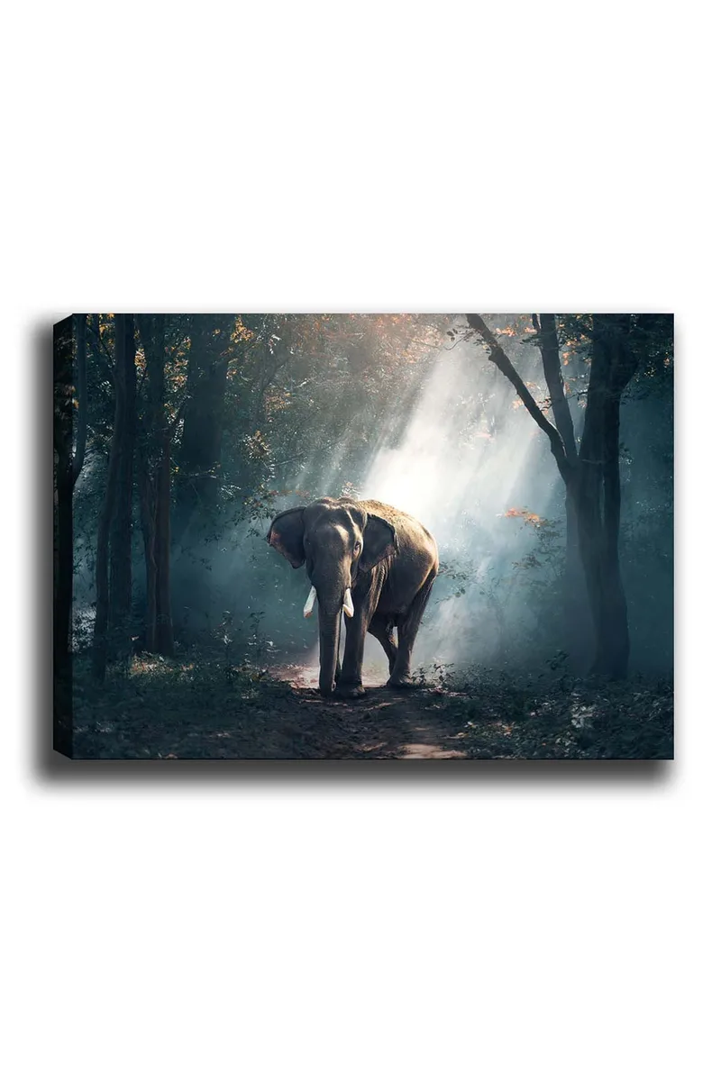 Dekorativ Canvasbilde 50x70 cm, Flerfarget