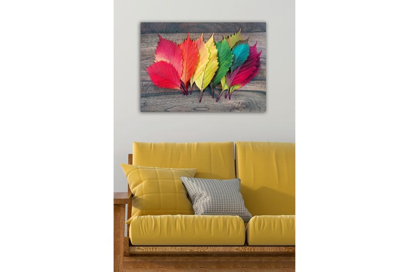 Dekorativ Canvasbilde 50x70 cm, Flerfarget