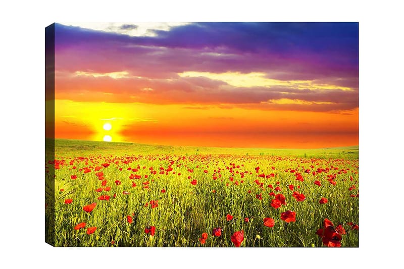 Dekorativ Canvasbilde 50x70 cm, Flerfarget