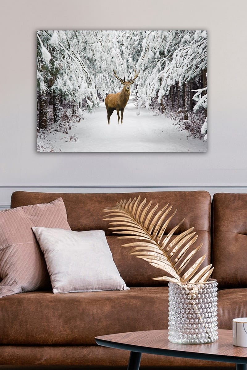 Dekorativ Canvasbilde 50x70 cm - Flerfarget - Interiør - Maleri & posters - Lerretsbilder