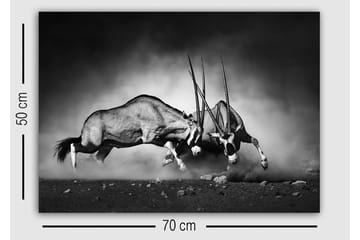 Dekorativ Canvasbilde 50x70 cm - Flerfarget - Interiør - Maleri & posters - Lerretsbilder