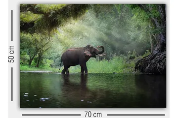 Dekorativ Canvasbilde 50x70 cm - Flerfarget - Interiør - Maleri & posters - Lerretsbilder