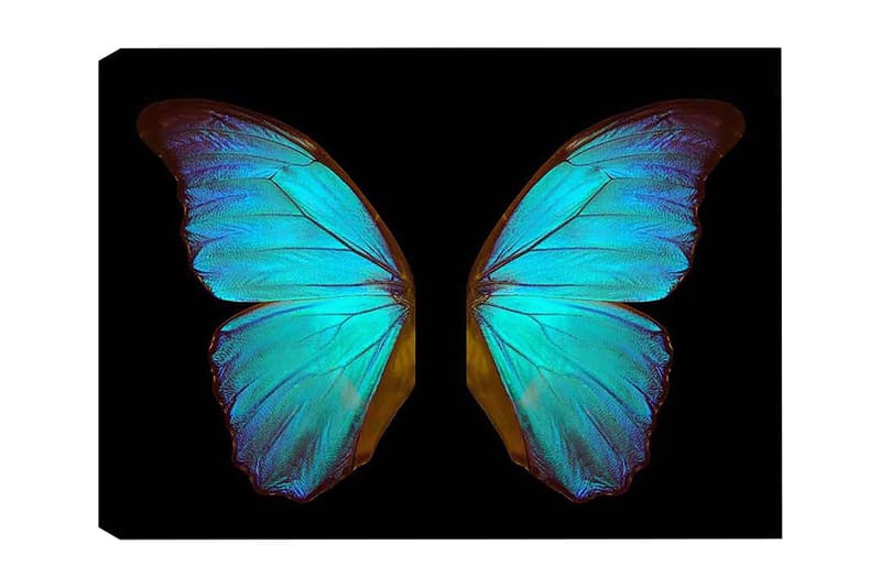 Dekorativ Canvasbilde 50x70 cm, Flerfarget