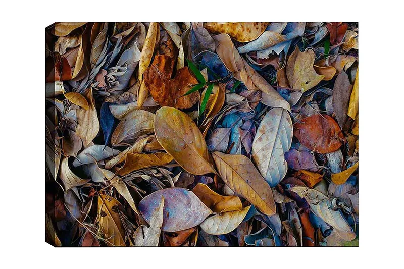 Dekorativ Canvasbilde 50x70 cm, Flerfarget