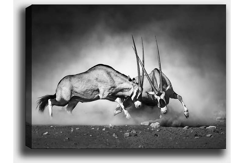 Dekorativ Canvasbilde 50x70 cm, Flerfarget