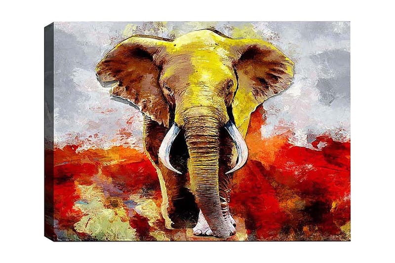 Dekorativ Canvasbilde 50x70 cm, Flerfarget