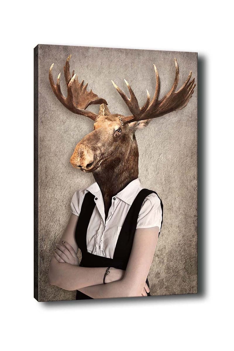 Dekorativ Canvasbilde 50x70 cm, Flerfarget