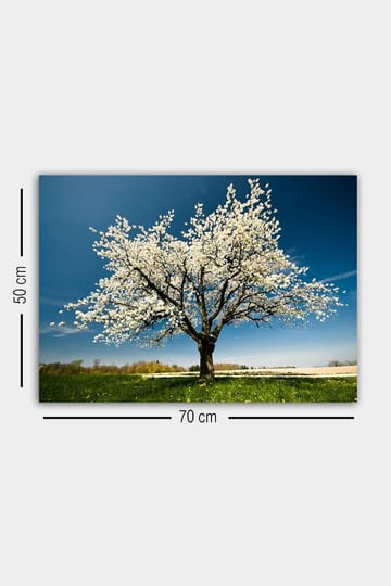 Dekorativ Canvasbilde 50x70 cm - Flerfarget - Interiør - Maleri & posters - Lerretsbilder