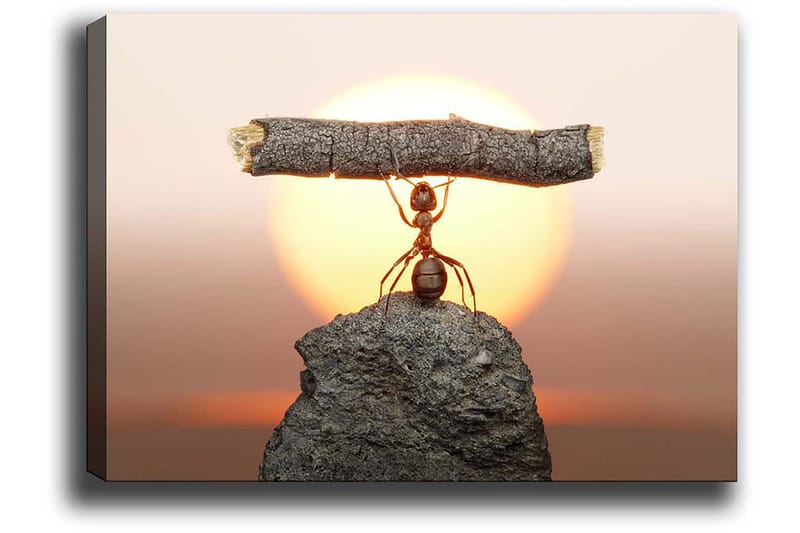 Dekorativ Canvasbilde 50x70 cm, Flerfarget