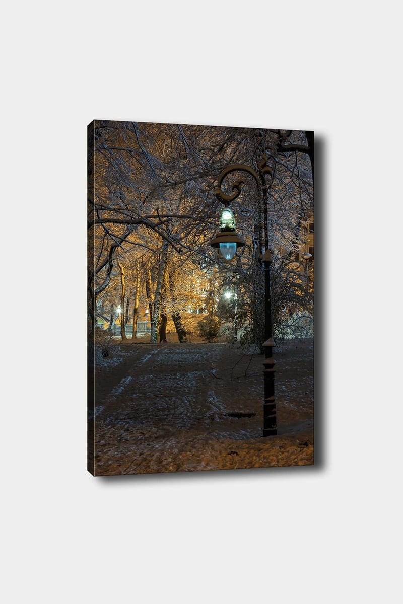 Dekorativ Canvasbilde 50x70 cm, Flerfarget