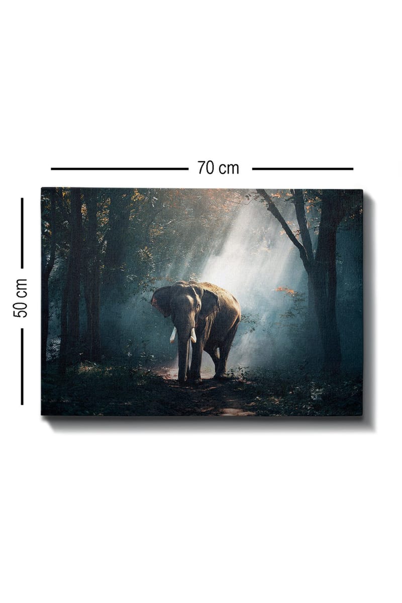 Dekorativ Canvasbilde 50x70 cm - Flerfarget - Interiør - Maleri & posters - Lerretsbilder