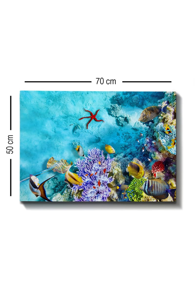 Dekorativ Canvasbilde 50x70 cm - Flerfarget - Interiør - Maleri & posters - Lerretsbilder