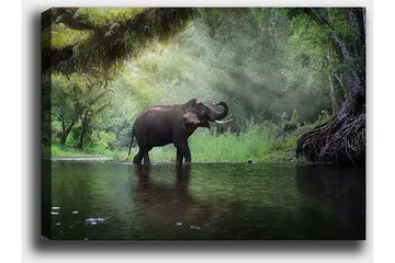 Dekorativ Canvasbilde 50x70 cm - Flerfarget - Interiør - Maleri & posters - Lerretsbilder