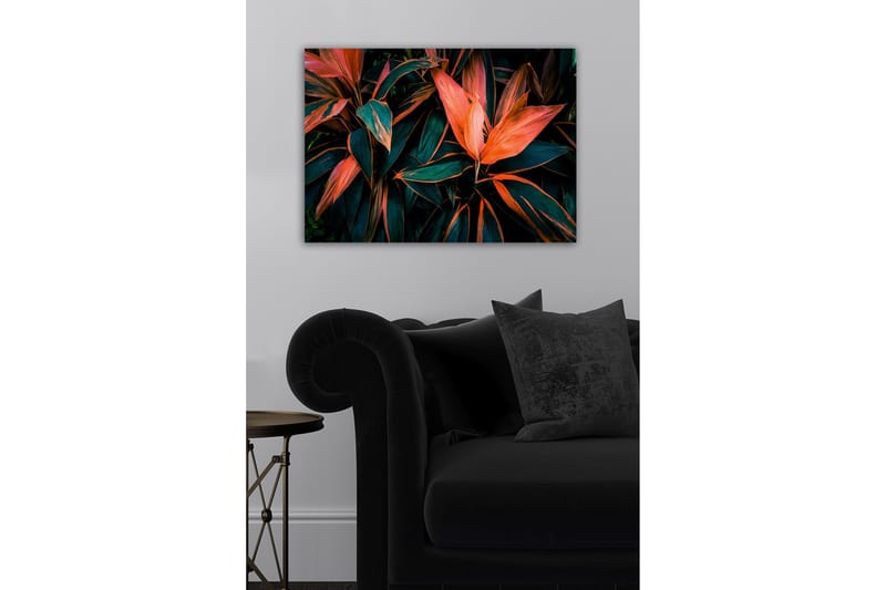 Dekorativ Canvasbilde 50x70 cm, Flerfarget