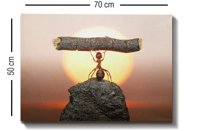 Dekorativ Canvasbilde 50x70 cm - Flerfarget - Interiør - Maleri & posters - Lerretsbilder