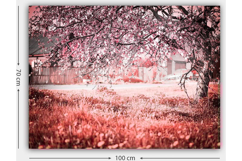 Dekorativ Canvasbilde 70x100 cm - Flerfarget - Interiør - Maleri & posters - Lerretsbilder