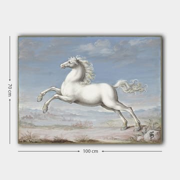 Dekorativ Canvasbilde 70x100 cm - Flerfarget - Interiør - Maleri & posters - Lerretsbilder
